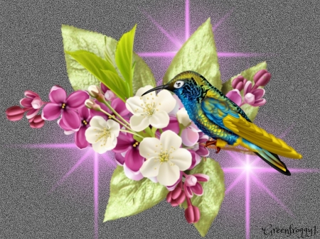 HUMMINGBIRD ON LILACS - LILACS, CREATION, HUMMINGBIRD, FLOWERS