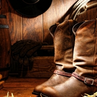 Cowgirl Boots