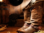 Cowgirl Boots