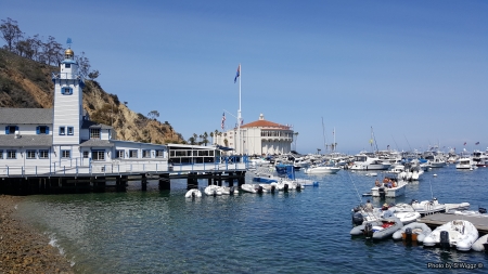 Avalon, Catalina Islands - lighthouse, boats, avalon, dock, catalina