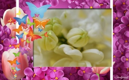 LOVELY WHITE LILACS - flowers, lovely, white, lilacs