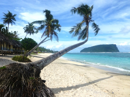 Samoa, South Pacific - clouds, palms, ska, sea, sand