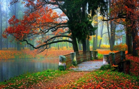 Fall Season - autumn, trees, river, leaves, colors, bridge, mist