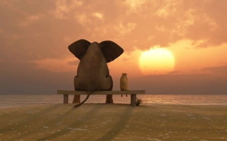 My Best Bud - elephant, dog, friends, humor, funny, sunset, best