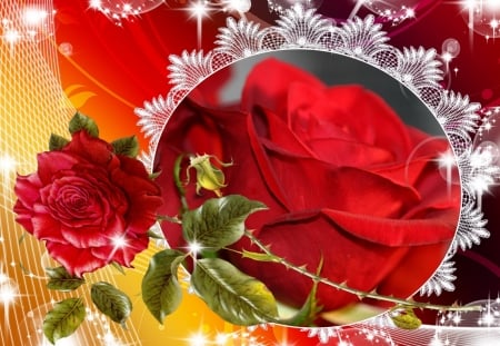 PRETTY RED ROSE - red, flower, rose, pretty