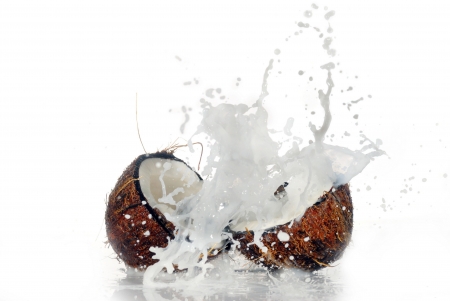 Coconuts - food, fruit, liquid, coconuts