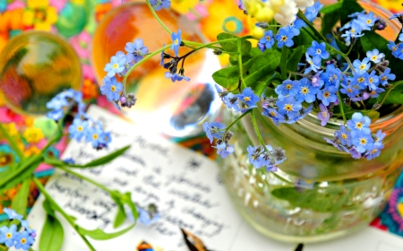 Forget me not Flowers - pretty, Vase, Nature, Flowers