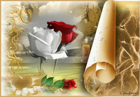 RED AND WHITE ROSES - WHITE, ROSE, RED, IMAGES