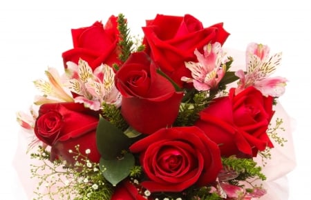 Roses - flowers, roses, pink, red