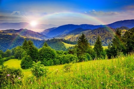 Rainbow over mountain - valley, sky, freshness, trees, sun, greenery, colorful, shine, grass, rays, rainbow, landscape, sunlight, mountain, hills, beautiful, wildflowers