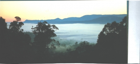 Morning fog,Cathedral Park,Victoria NSW - Pirate, Polly, cracker, Fish