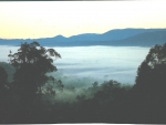 Morning fog,Cathedral Park,Victoria NSW