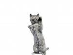 Dancing cat