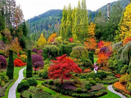 Wondrous garden - trees, park, colors, flowers, garden