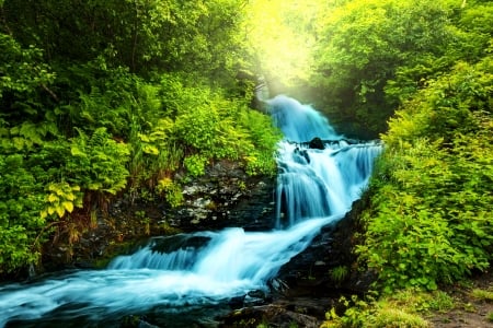 Forest cascades - trees, cascades, stream, greenery, waterfall, brook, creek, forest, river, beautiful