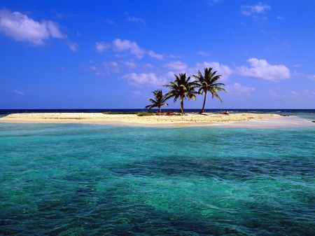 Sandy Island, Belize - clouds, palms, water, sea, sky