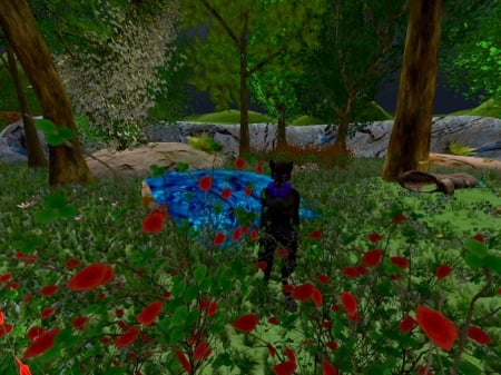 Blackwolf garden - blackwolf, garden, secondlife, flower