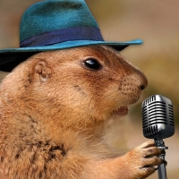 Singing Prairie Dog