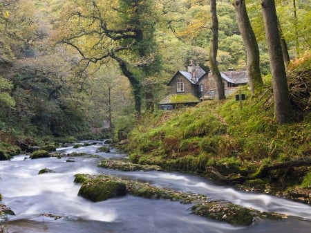 Exmoor National Park, England - forest, trees, cabin, creek