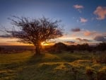 Winsford Hill on Exmoor, England