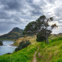 beautiful coastal scenery in new zealand