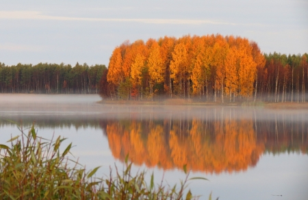 lake in autumn - lake, forest, fog, autumn