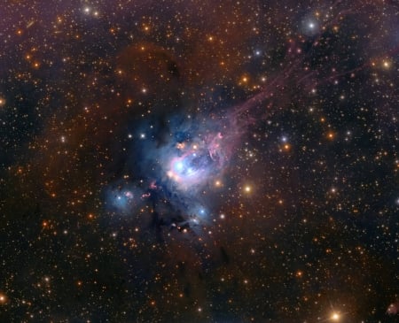 Young Suns of NGC 7129 - space, cool, fun, stars, galaxies