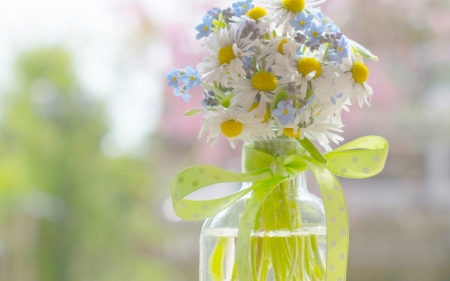 Beautiful Bouquet - daisies, flowers, delicate, beautiful, fragrance, bouquet