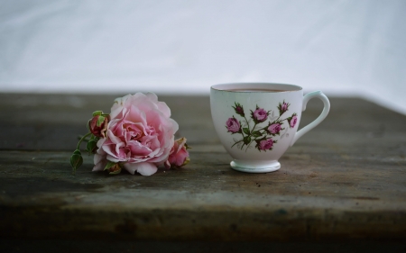 Garden tea - nature, tea, garden, flower