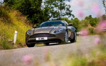 Aston Martin - fun, aston martin, car, cool