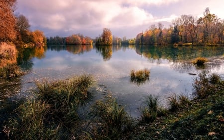 forest lake - nature, fun, lake, cool, forest, sunset