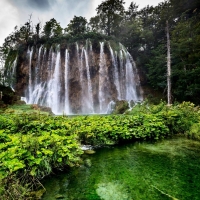 waterfall in a forest