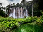 waterfall in a forest