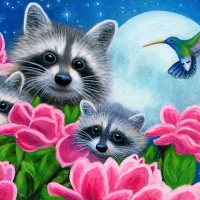 Magnolia Coons