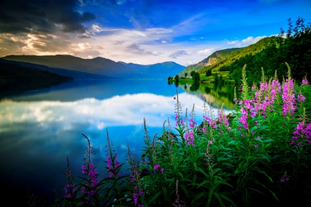 Lake serenity - lake, sky, landscape, mountain, shore, mist, serenity, tranquility, evening, reflection, clouds, mirror, beautiful, afternoon, dusk, wildflowers