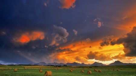 Angry sky - Field, Cumulo nimbus, Clouds, Bales, Sky