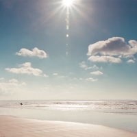 Lone Surfer Morning