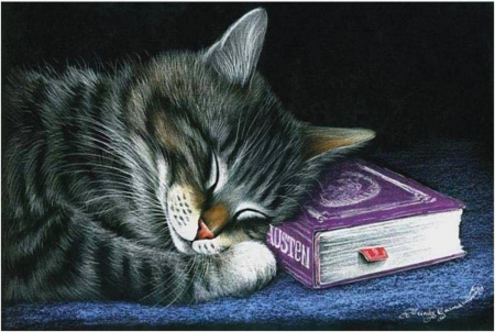 bedtime - painting, book, sleepy, cat