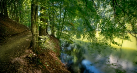 Beautiful Nature - nature, lake, trees, forest, woods, petah, leaves