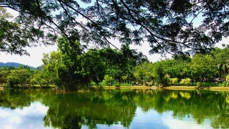 Green Lake - nature, lake, scenery, green, tree