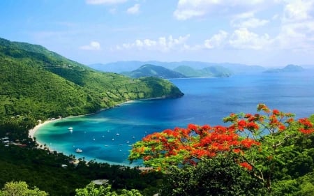 Wonderful Nature - flowers, sea, trees, beach