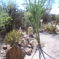 Boothill Cemetery; Tombstone, Arizona