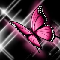 Proud Pink Papillon