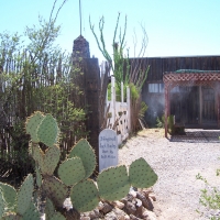 Boothill Cemetery: Tombstone, Arizona