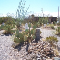 Boothill Cemetery; Tombstone, Arizona