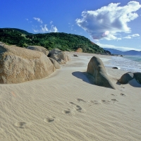 footprints in the sand