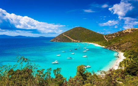 British Virgin Islands - british virgin islands, beach, ocean, trees, boats, paradise, islands, water, nature, flora, sea