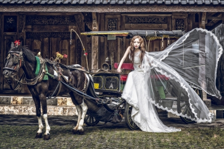 Bride - white, woman, horse, girl, bride, asian, model, dress