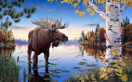 moose - moose, lake, house, birch