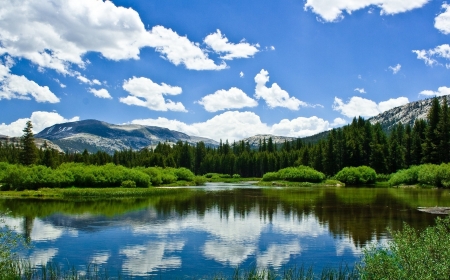 Lake in Alaska - sky, lake, forest, alaska, clouds